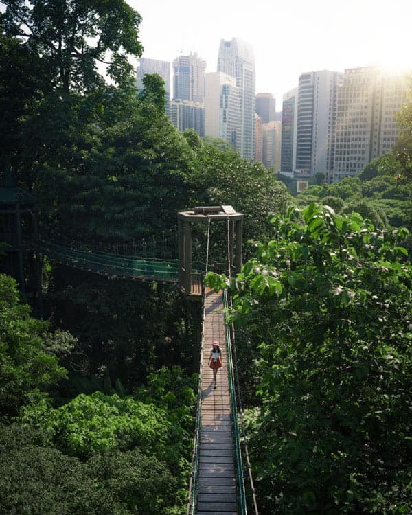 KL-Eco-Forest-Park-Canopy-Walk