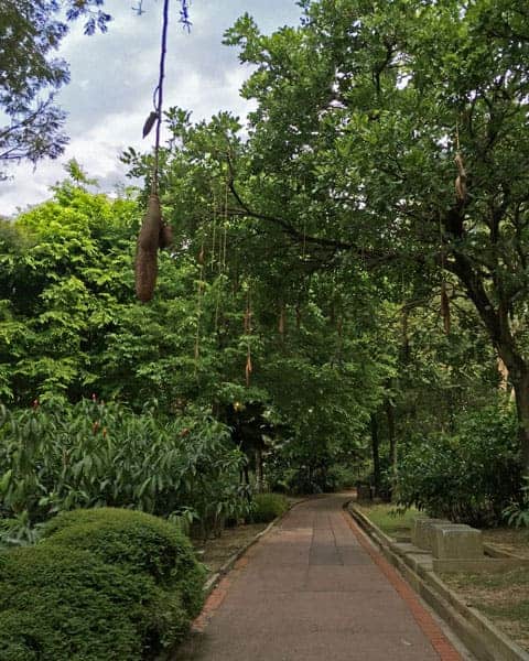 Perdana-Botanical-Garden