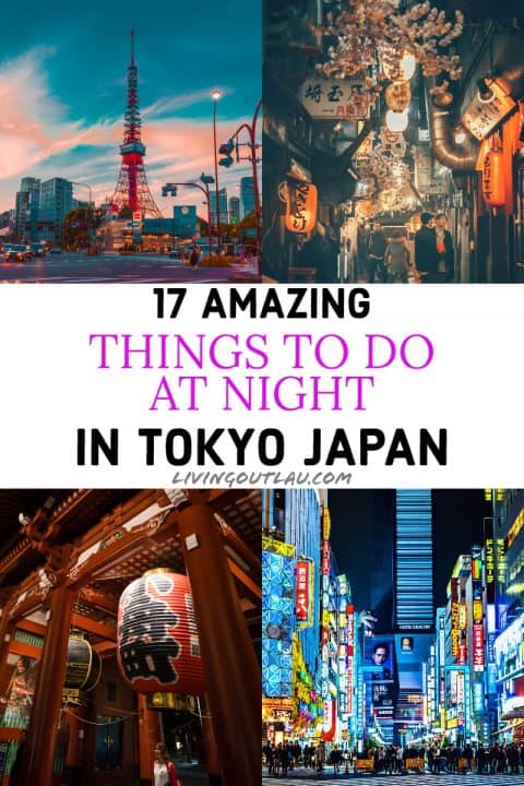 19 BEST Things To Do In Tokyo At Night [2024 Edition] – LivingOutLau