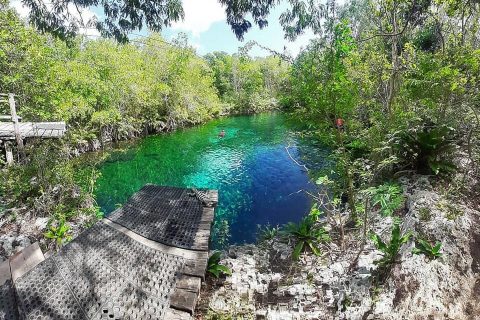 11 Best Cenotes In Riviera Maya, Mexico [2023 Edition!]