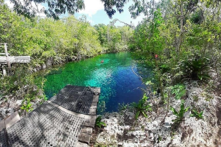 11 BEST Cenotes In Riviera Maya, Mexico [2023 Edition!]