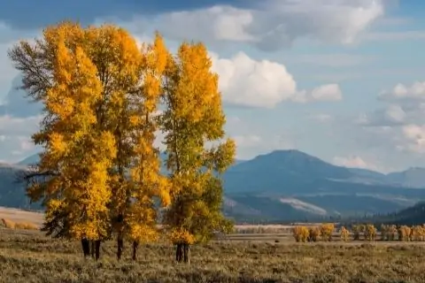 Visiting Yellowstone in September Featured