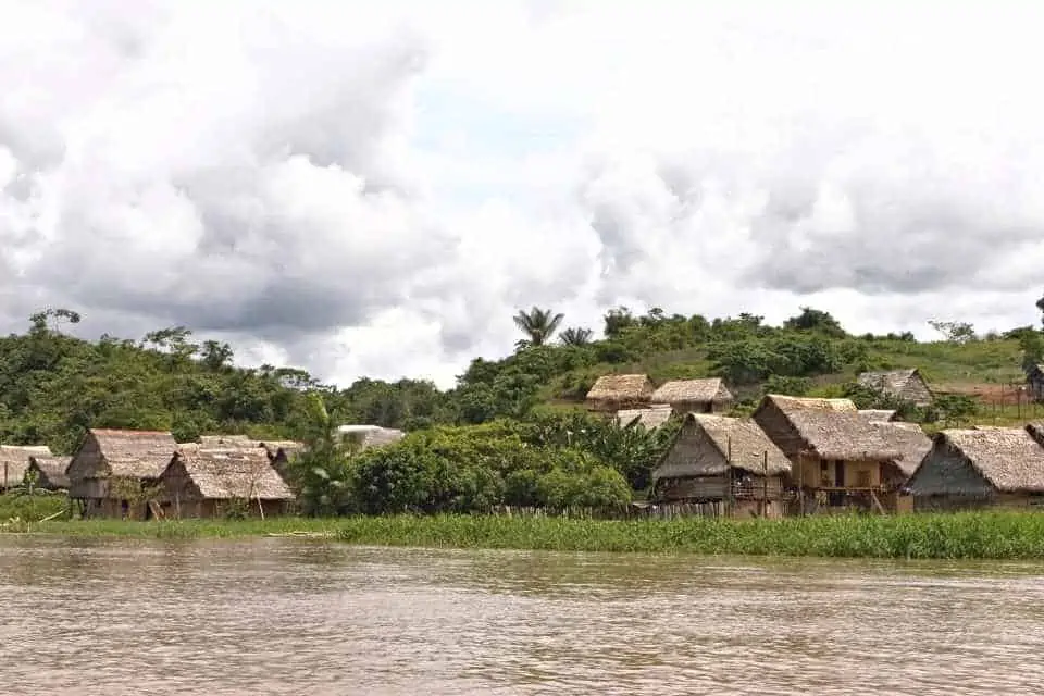 Amazon Rainforest Peru