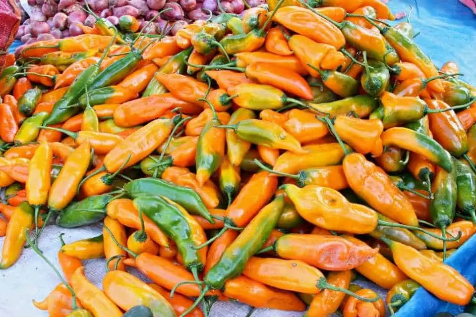 Famous Foods in Peru Aji