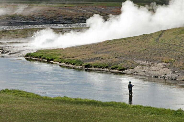 Visiting Yellowstone In May: Is It A Good Time?