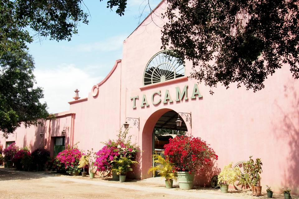 Tacama Winery in Peru