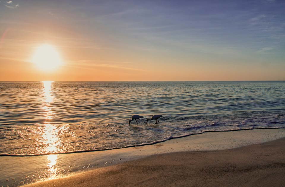 Casey-Key-Sarasota-Florida