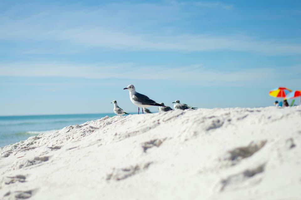 Santa-Rosa-Beach-Florida